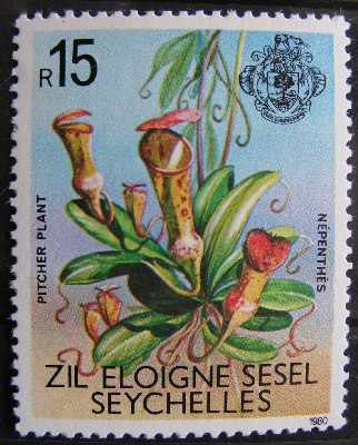 Nepenthes timbre