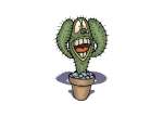 - Cactus