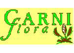 - Carniflora