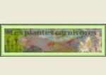 - Les plantes carnivores