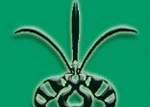 - SOCIETE SUISSE D'ORCHIDOPHILIE