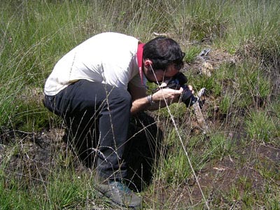 hostens fossé plantes carnivores un