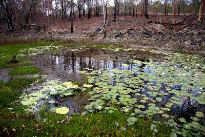 atherton tablelands