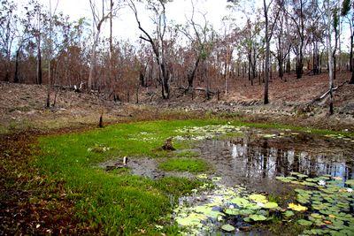 herberton peford highway