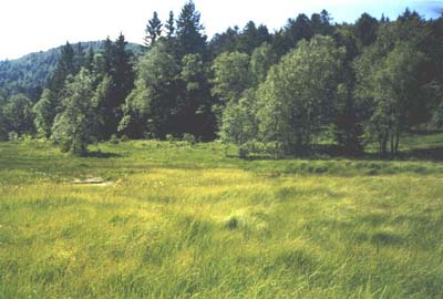 tourbière de machais