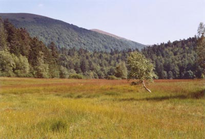 tourbière de machais vosges