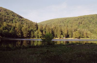 tourbière de Blanchemer