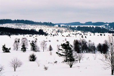 tourbière du longueyroux