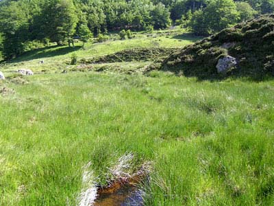 tourbiére Pays Basque Iraty deux