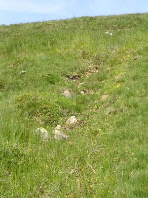 biotope grassettes Pays Basque un