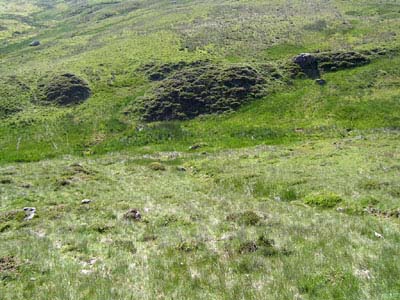biotope plantes carnivores Pays Basque deux