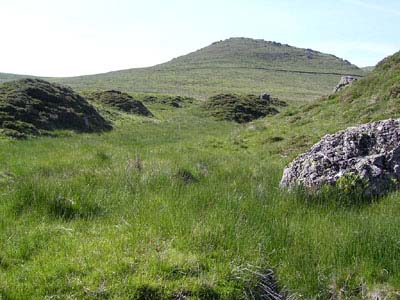 biotope plantes carnivores Pays Basque