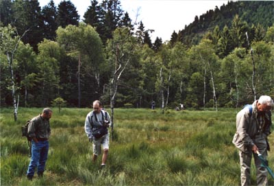 Tourbière de la Maxe quatre